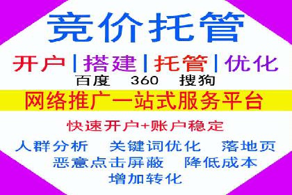 竞价推广中的数据监控与分析：某行业头部企业的成功经验